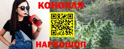 гашик Лесосибирск