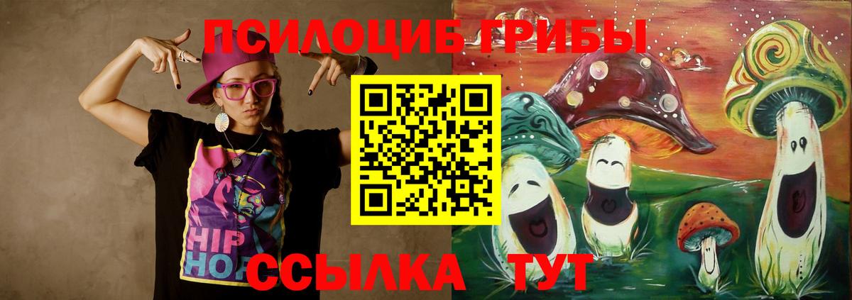 Галлюциногенные грибы Cubensis Избербаш